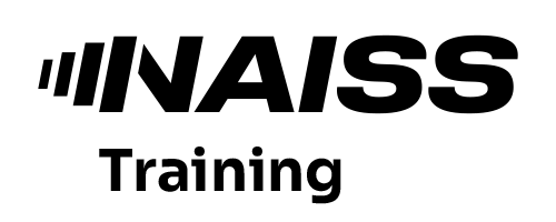 NAISS Logo